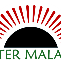 STICHTING BETER MALAWI logo