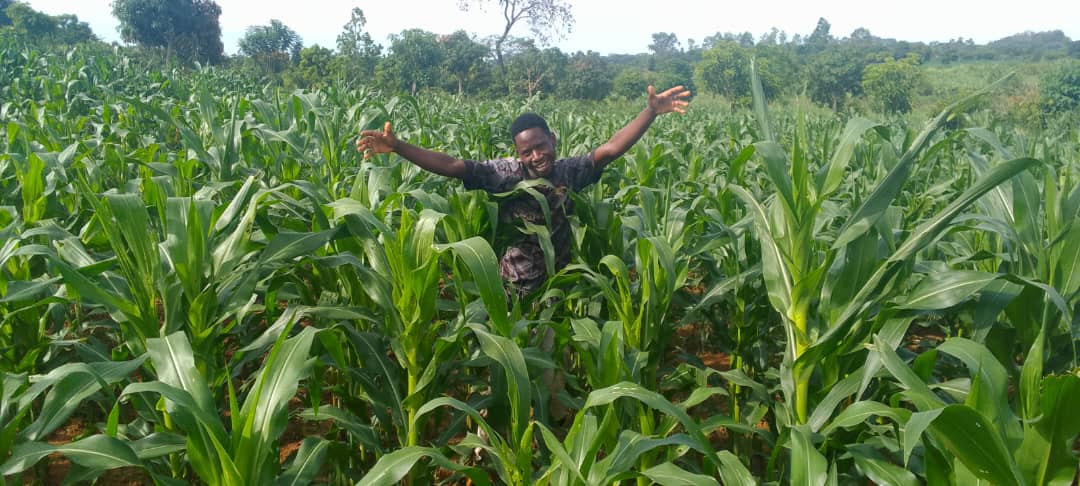 Community Business - Afbeelding 2