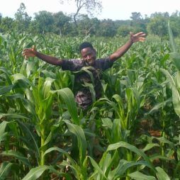 Community Garden P13