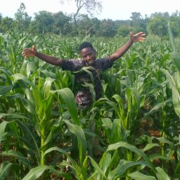 Community Garden P13