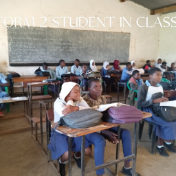 school desks malawi proposal form 2